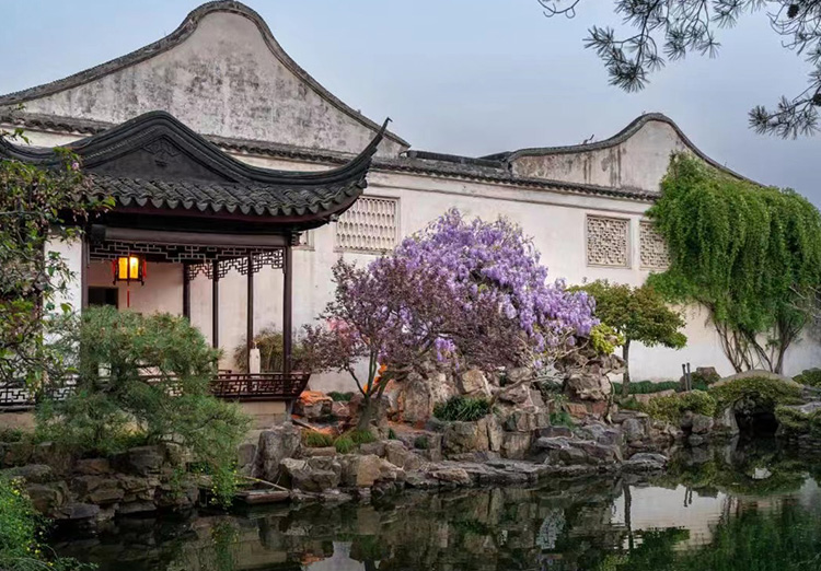 Master of the Nets Garden Master of the Nets Garden